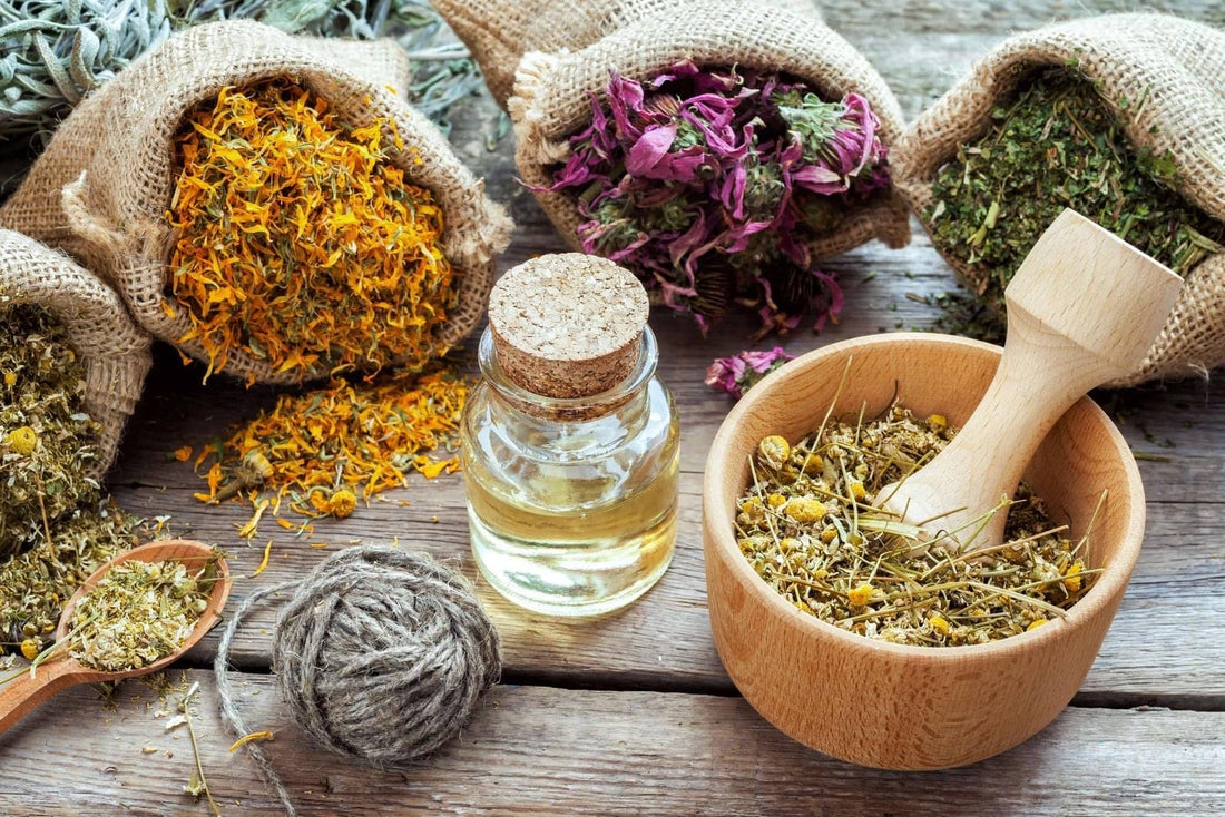 IMPORTANCE OF MEDICINAL HERBS