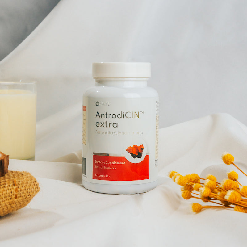 AntrodiCIN extra – Antrodia Cinnamea (OPFE étrend-kiegészítő)