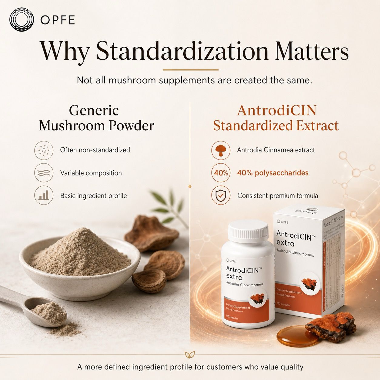 AntrodiCIN extra – Antrodia Cinnamea (OPFE étrend-kiegészítő)