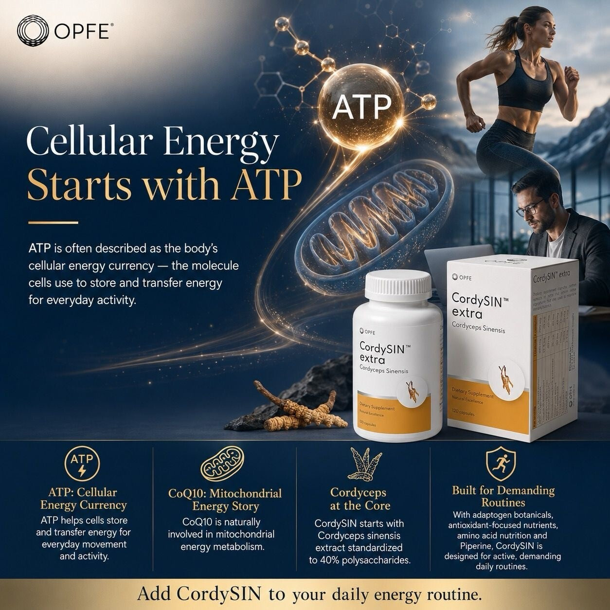 CordySIN extra, Cordyceps Sinensis (OPFE étrend-kiegészítő)
