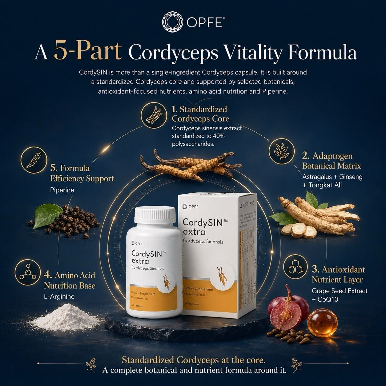 CordySIN extra, Cordyceps Sinensis (OPFE étrend-kiegészítő)