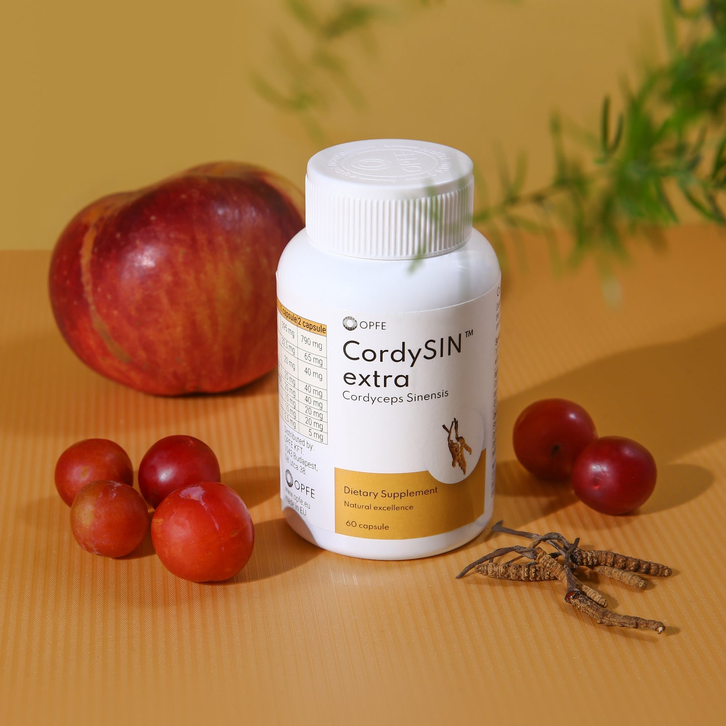 CordySIN extra - Cordyceps Sinensis (OPFE étrend-kiegészítő)