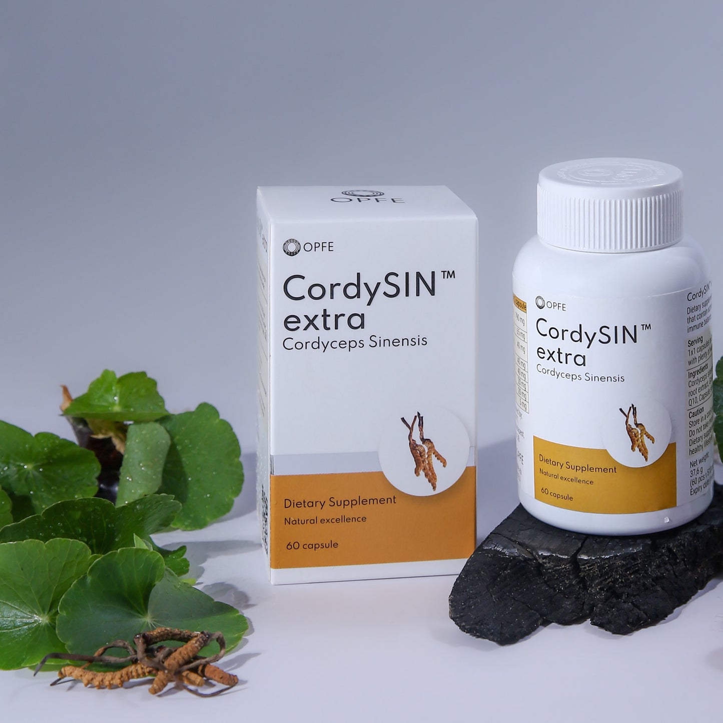 CordySIN extra - Cordyceps Sinensis (OPFE étrend-kiegészítő)