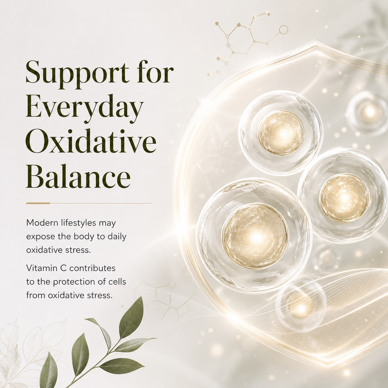 Detox Premium White (OPFE doplnok stravy)
