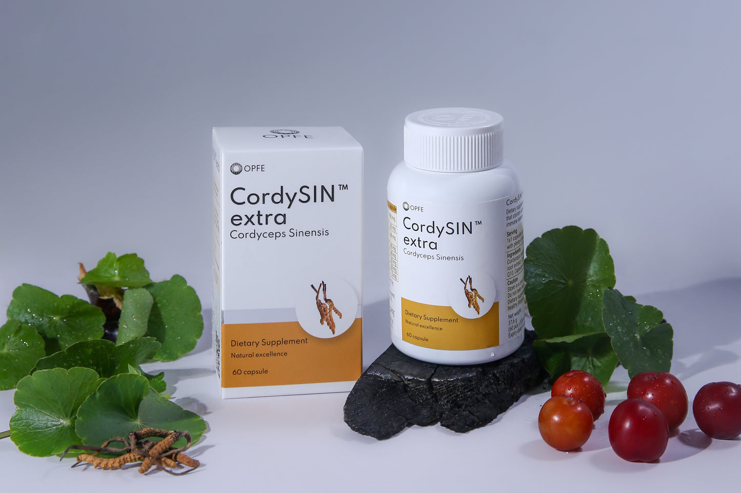 CordySIN extra - Cordyceps Sinensis (OPFE étrend-kiegészítő)