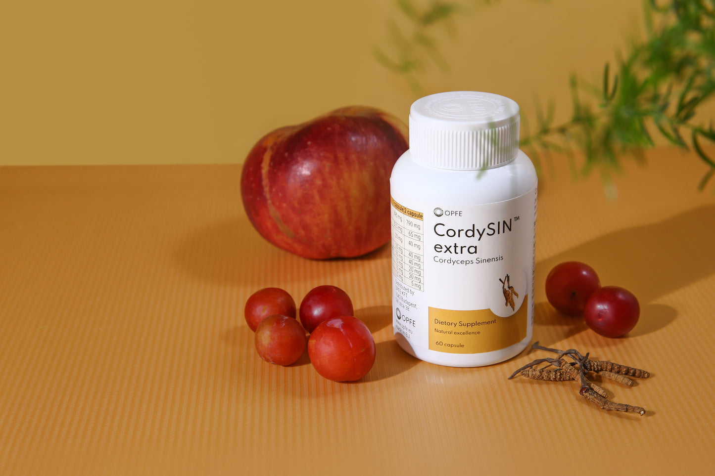 CordySIN extra - Cordyceps Sinensis (OPFE étrend-kiegészítő)